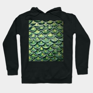 scales Hoodie